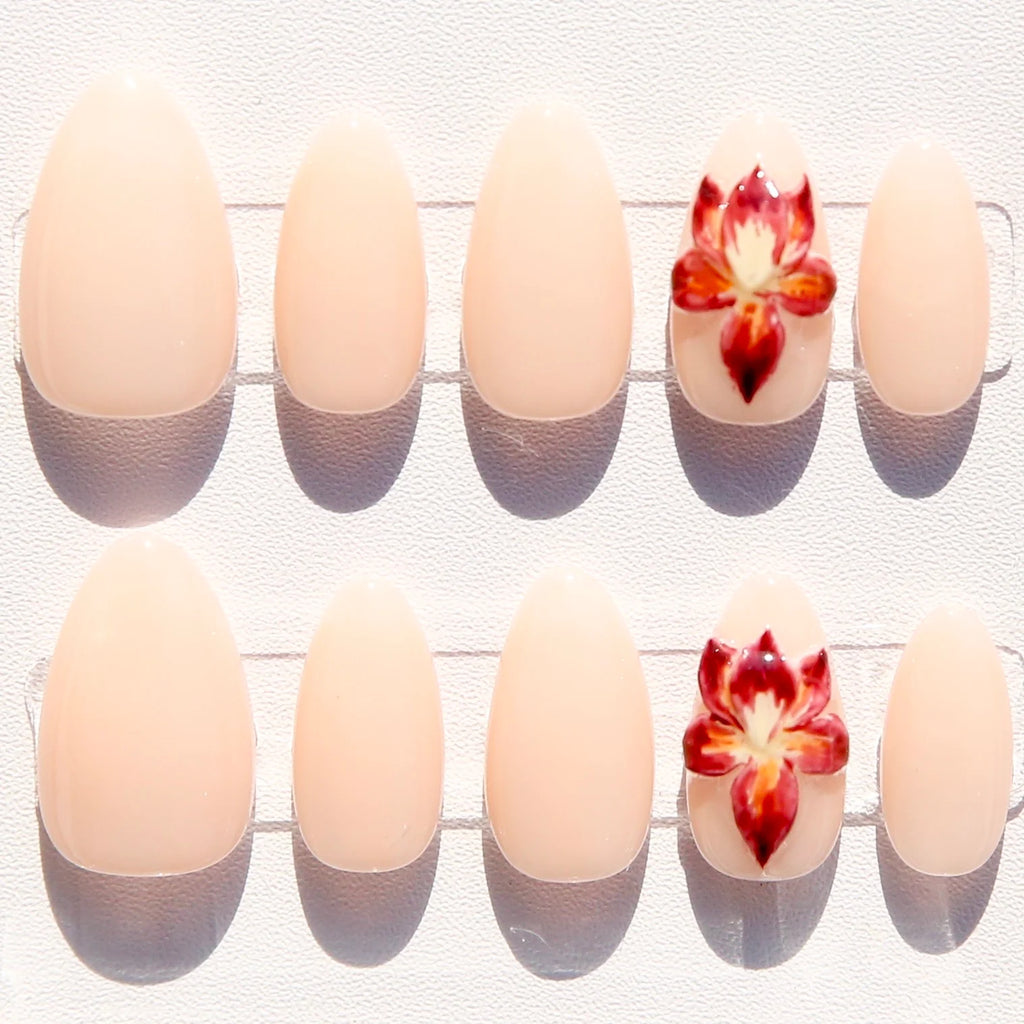 Rosy Orchid