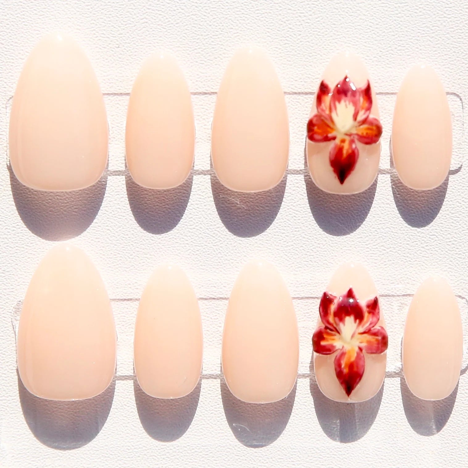 Rosy Orchid